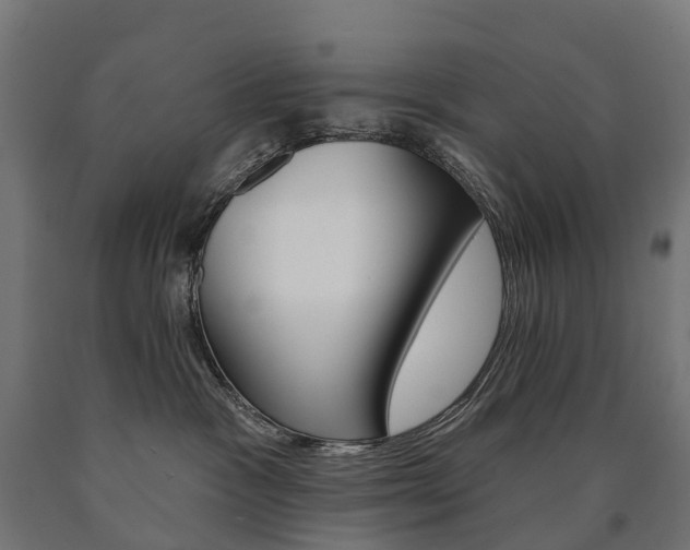 X0000091000333200708021230