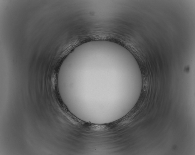 X0000091000334200708021230