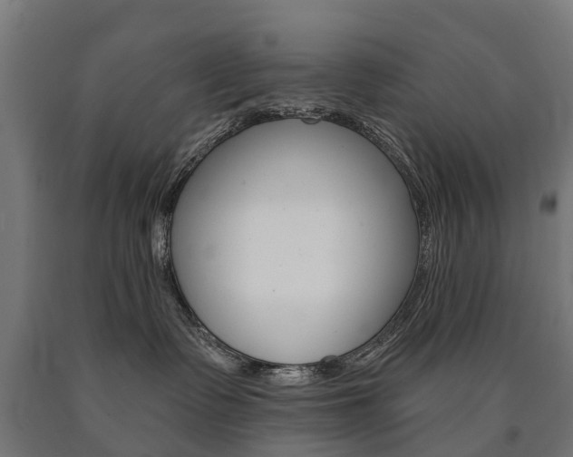 X0000091000335200708021230