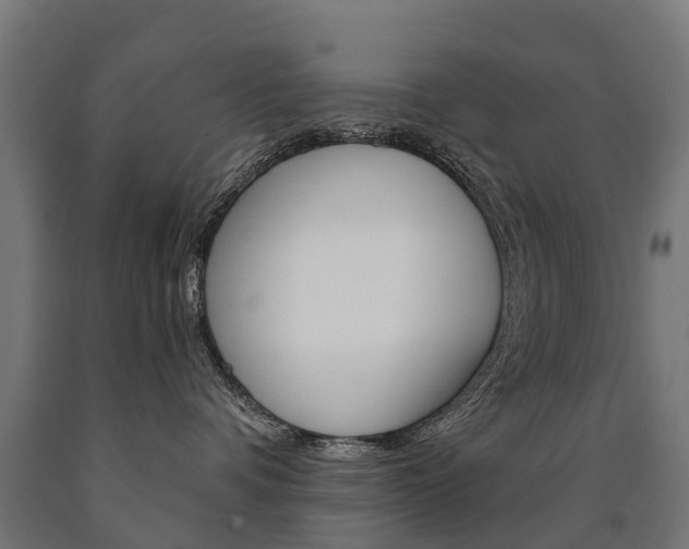 X0000091000336200708021230