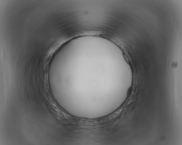 X0000091000337200708021230