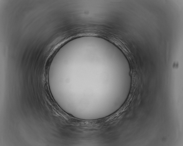 X0000091000338200708021230