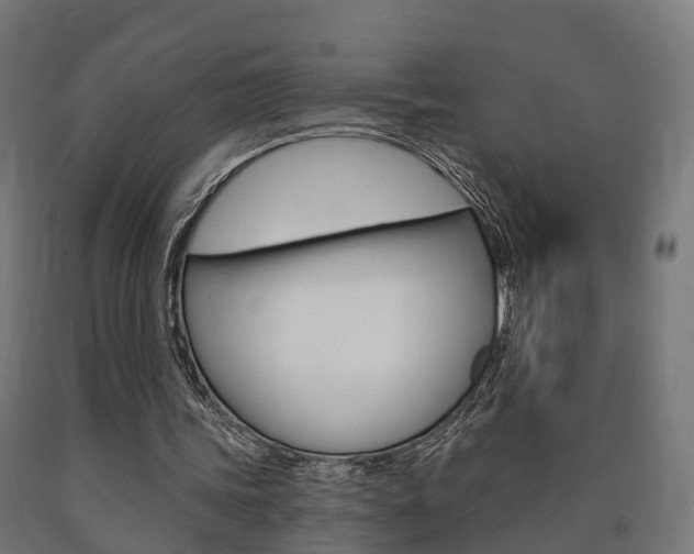 X0000091000339200708021230