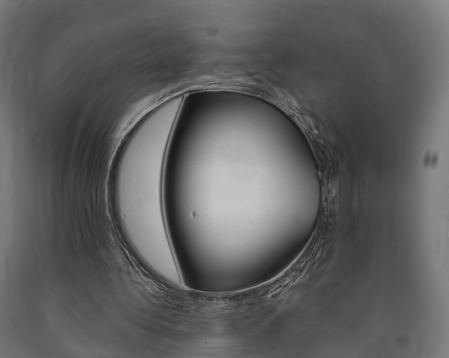 X0000091000340200708021230