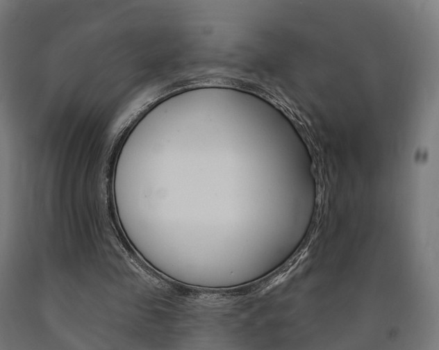 X0000091000341200708021230