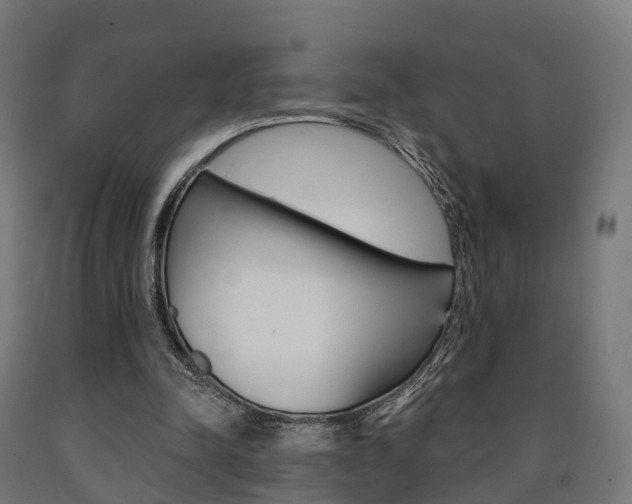 X0000091000342200708021230