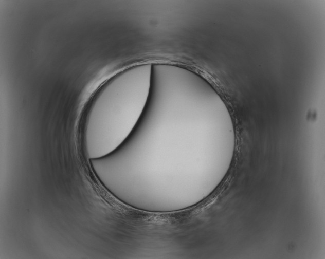 X0000091000343200708021230