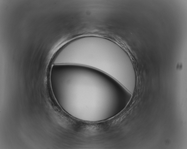 X0000091000344200708021230