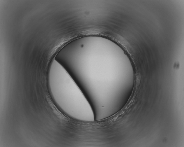X0000091000345200708021230