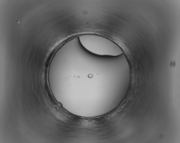 X0000091000346200708021230
