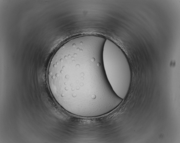 X0000091000347200708021230