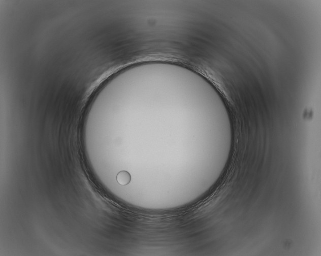 X0000091000348200708021230