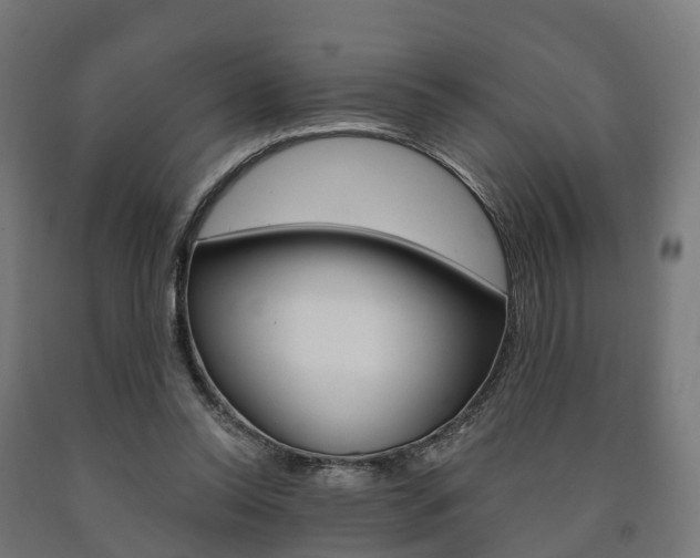 X0000091000350200708021230