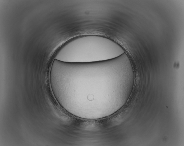 X0000091000351200708021230