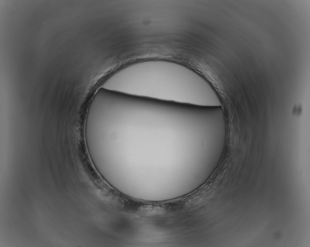 X0000091000354200708021230