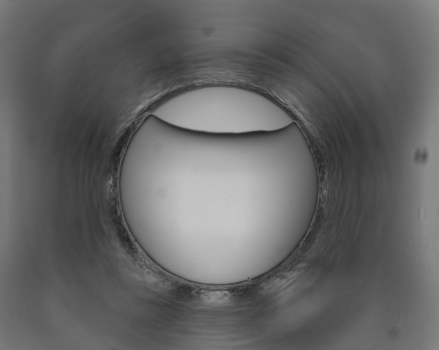 X0000091000355200708021230
