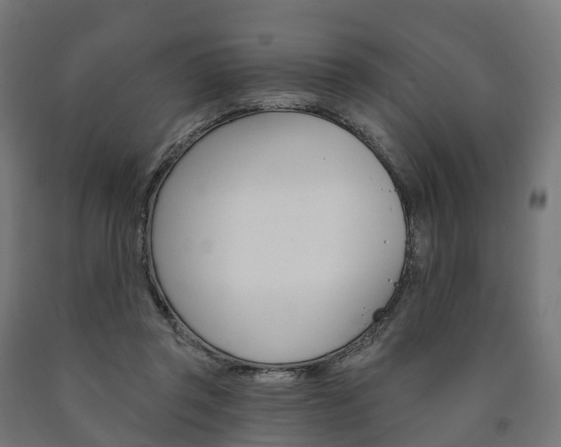 X0000091000357200708021230