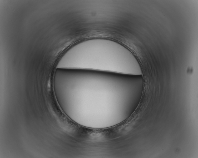 X0000091000358200708021230