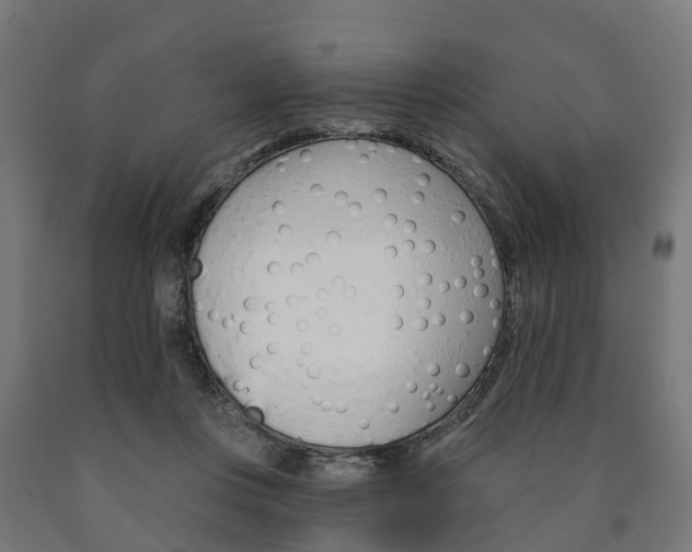 X0000091000359200708021230