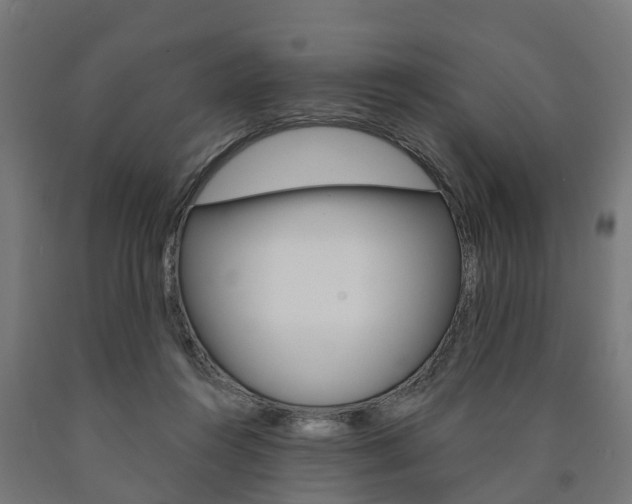 X0000091000360200708021230