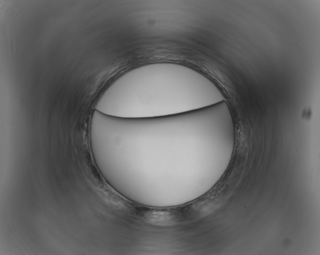 X0000091000361200708021230