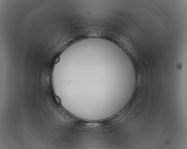 X0000091000363200708021230
