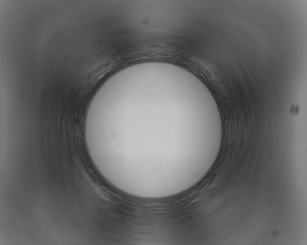 X0000091000364200708021230