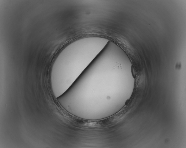 X0000091000365200708021230