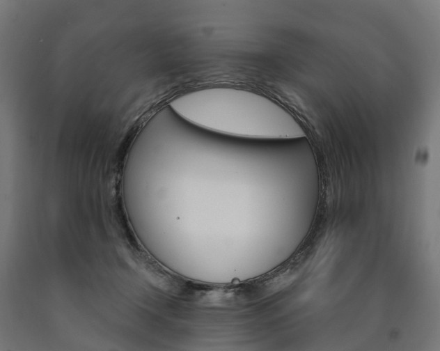 X0000091000366200708021230