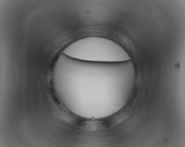 X0000091000367200708021230