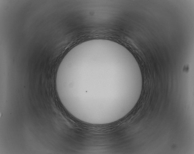 X0000091000368200708021230