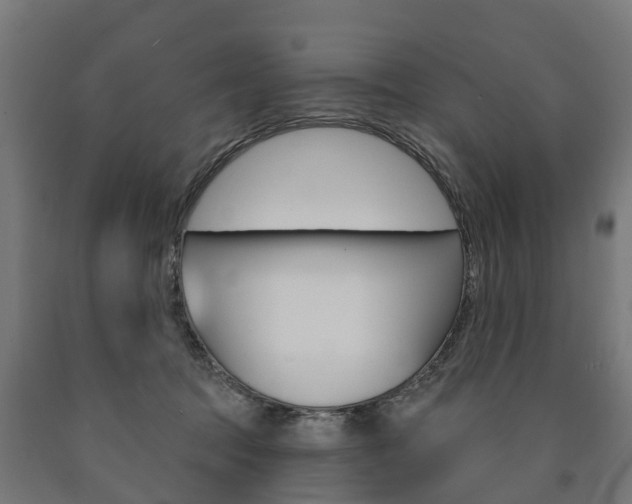 X0000091000369200708021230