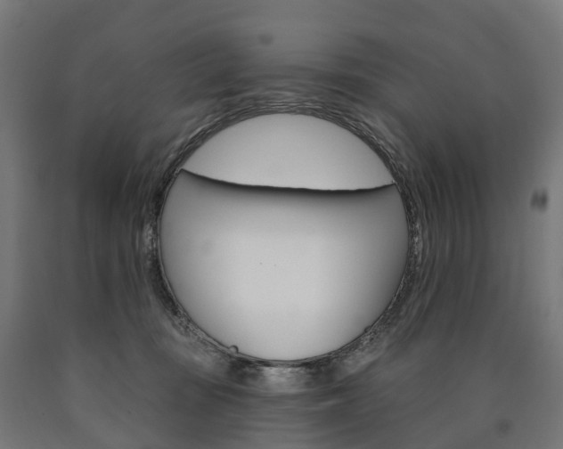 X0000091000371200708021230