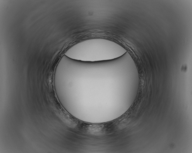 X0000091000373200708021230