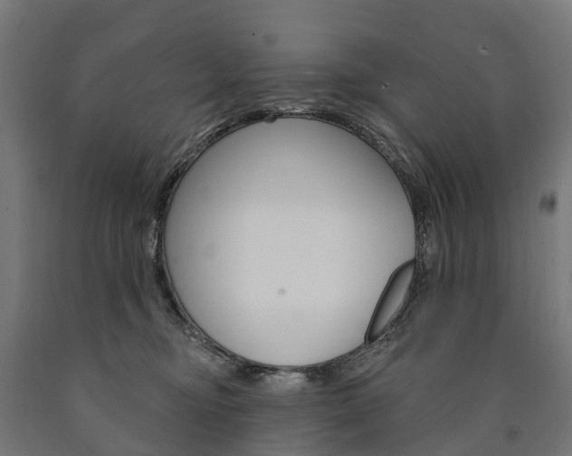 X0000091000374200708021230