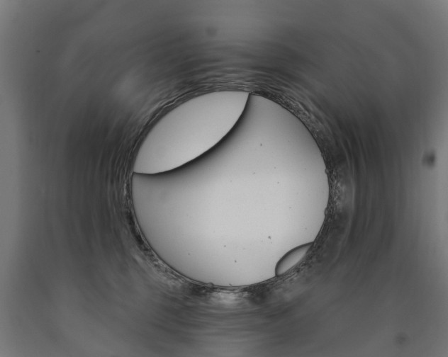 X0000091000375200708021230