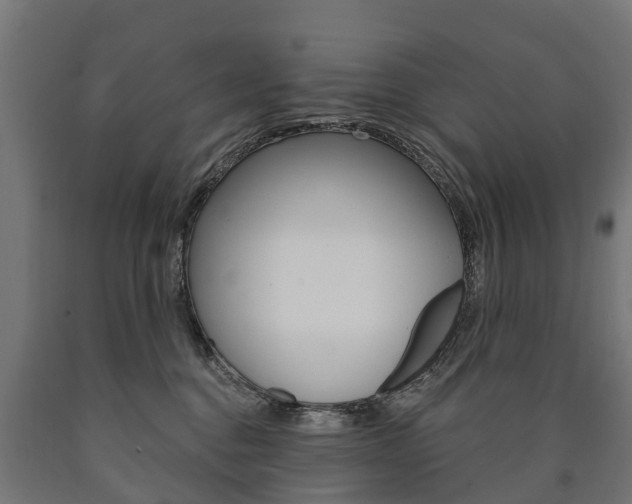 X0000091000376200708021230