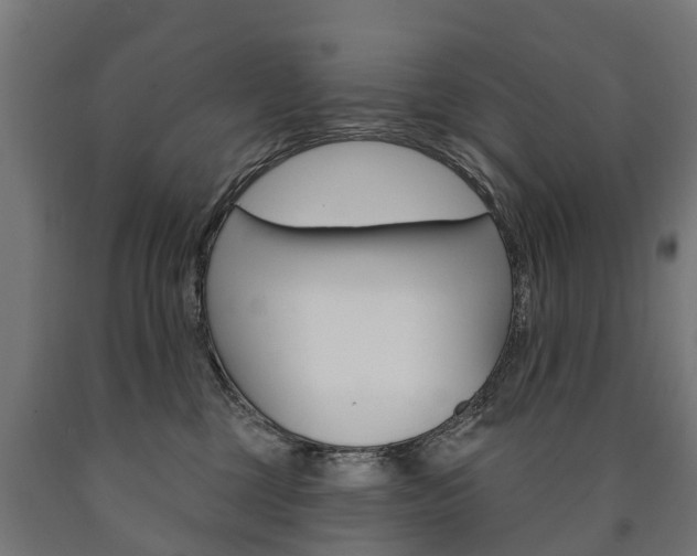X0000091000377200708021230