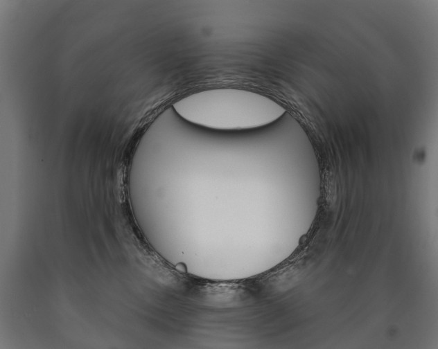 X0000091000378200708021230