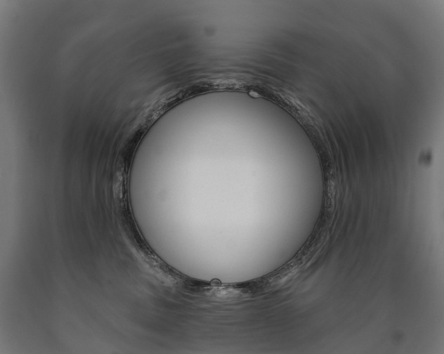 X0000091000379200708021230