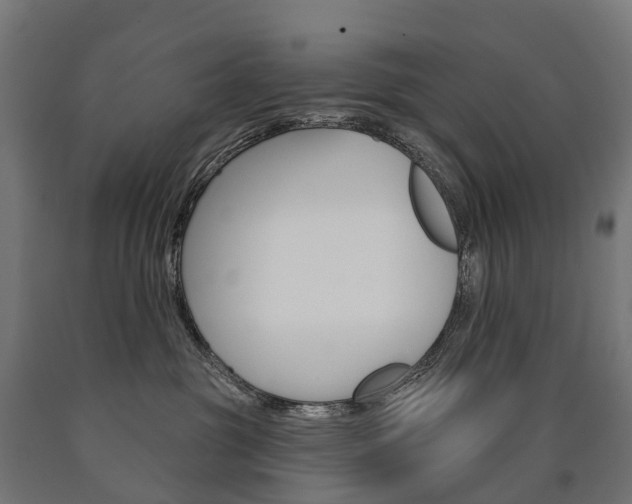 X0000091000381200708021230