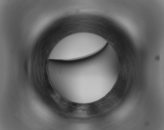 X0000091000382200708021230