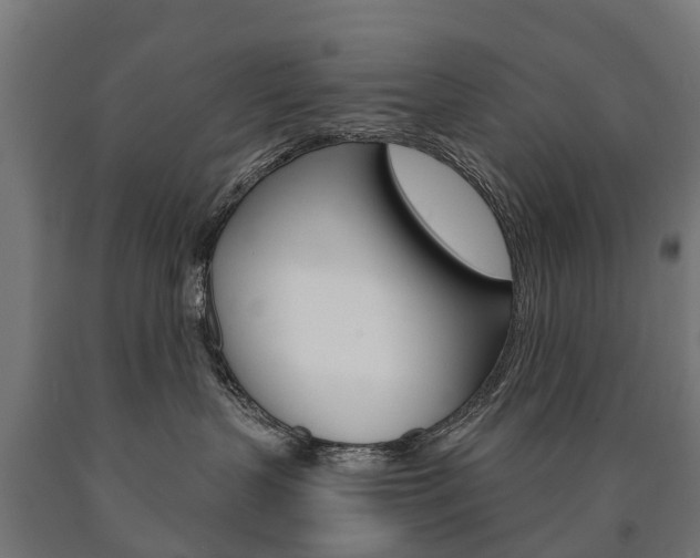 X0000091000383200708021230