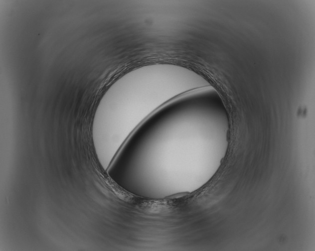 X0000091000384200708021230