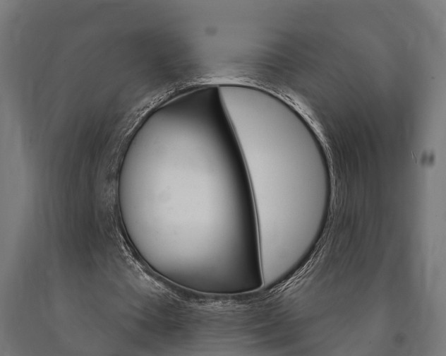 X0000091000385200708021230