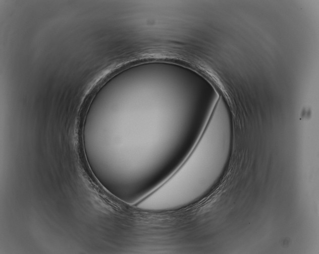 X0000091000387200708021230
