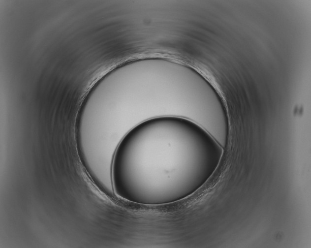 X0000091000389200708021229