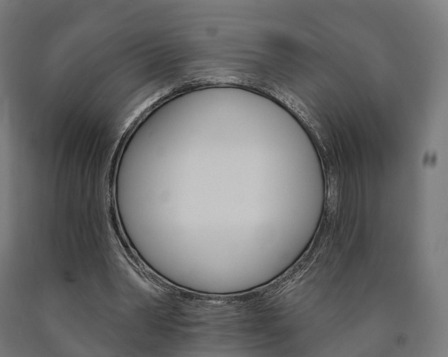 X0000091000390200708021229