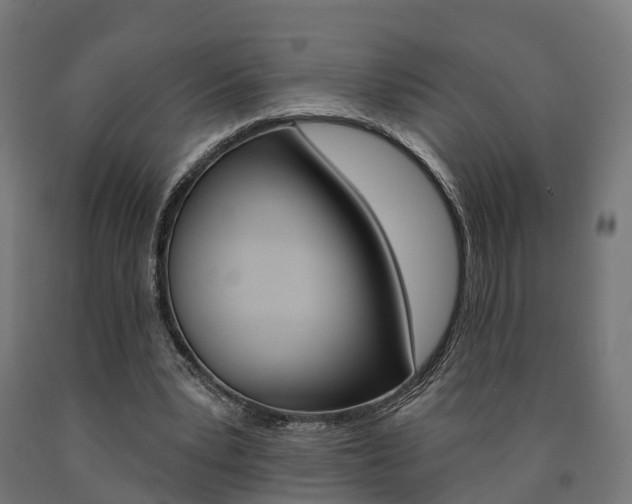X0000091000391200708021229