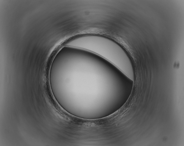 X0000091000392200708021229